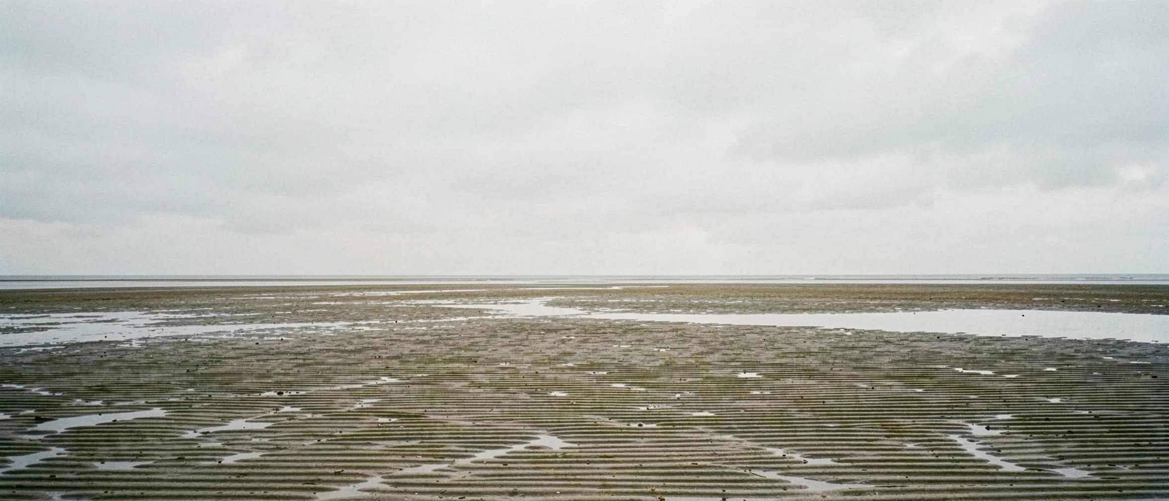 Uitgestrekt wad met geribbeld zand onder laag water