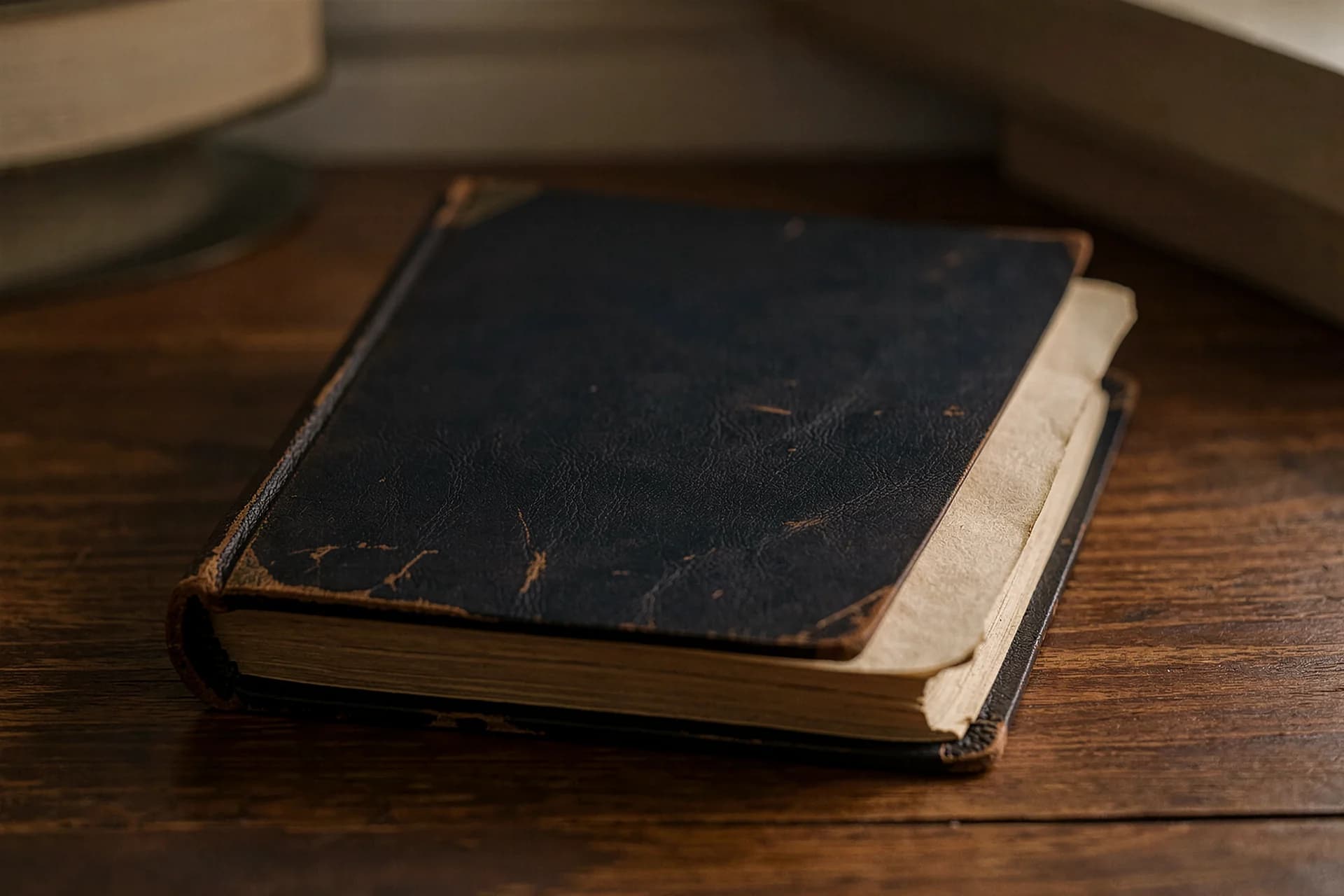 Dik lederen grootboek met gesleten hoeken en goudsnede