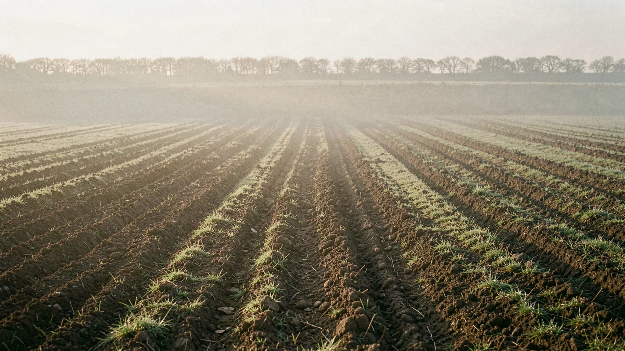 Vers geploegd akkerland met nevel in voren