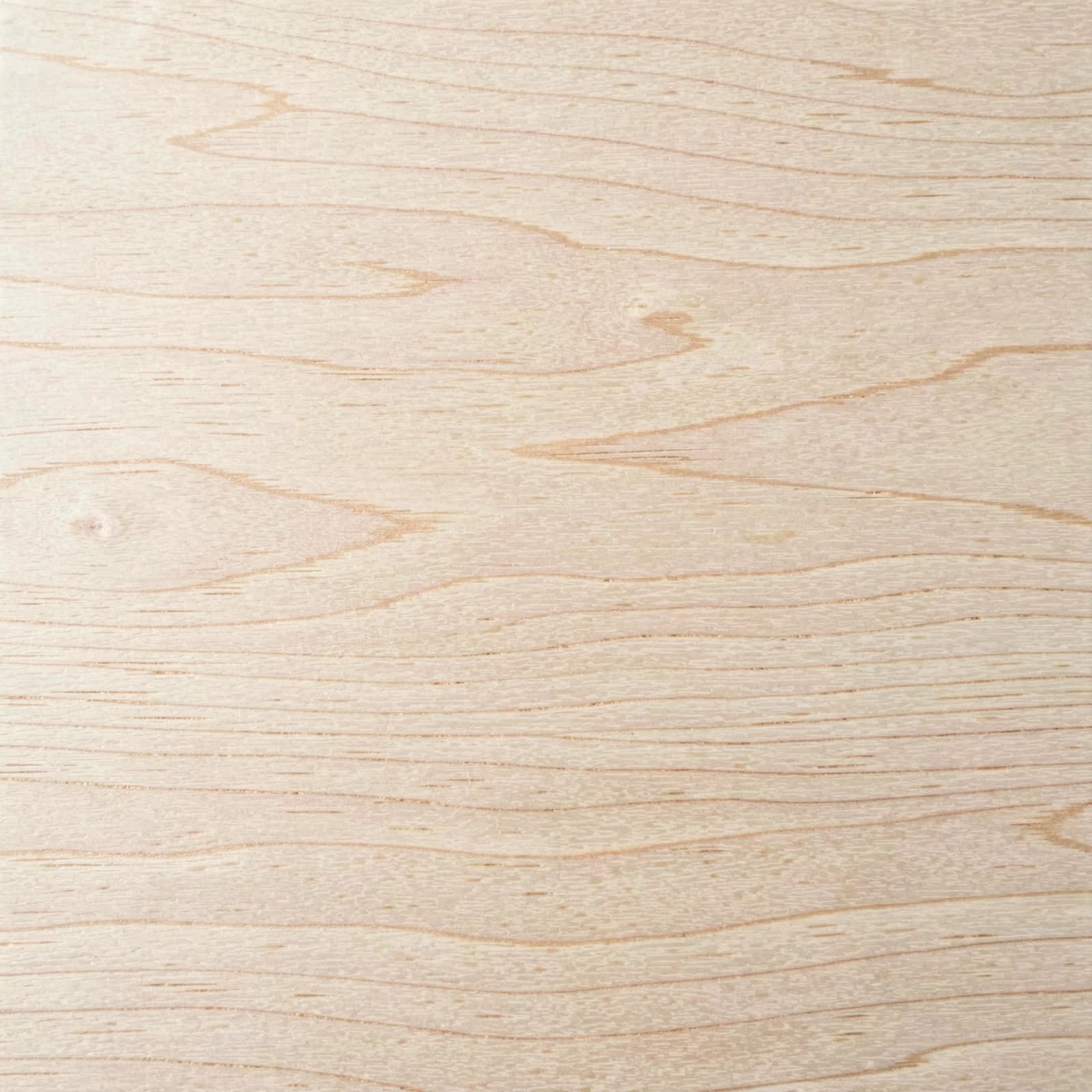 Detail van berkenmultiplex met fijne houtnerf en randlaagjes