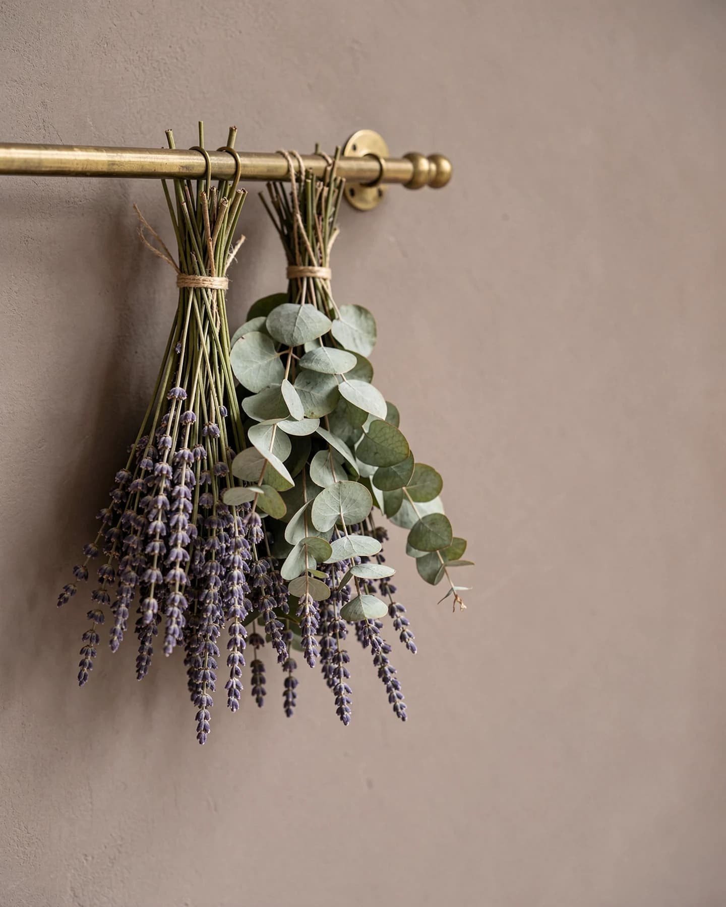 Bosjes gedroogde eucalyptus en lavendel aan messing roede